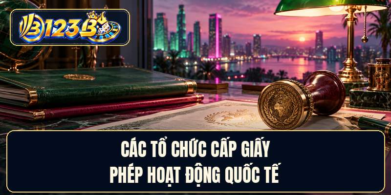 Các tổ chức cấp giấy phép hoạt động quốc tế