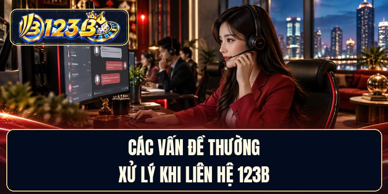 Các vấn đề thường xử lý khi liên hệ 123B